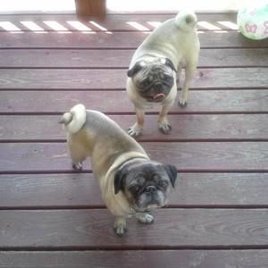 Meet your Posher, Rene'